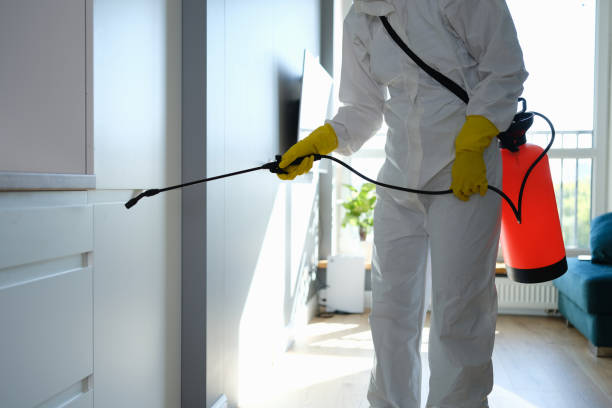 Best Residential Pest Control  in Wardsville, MO